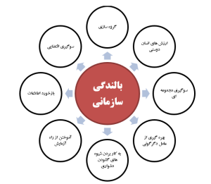ویژگی بالندگی سازمانی